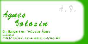 agnes volosin business card